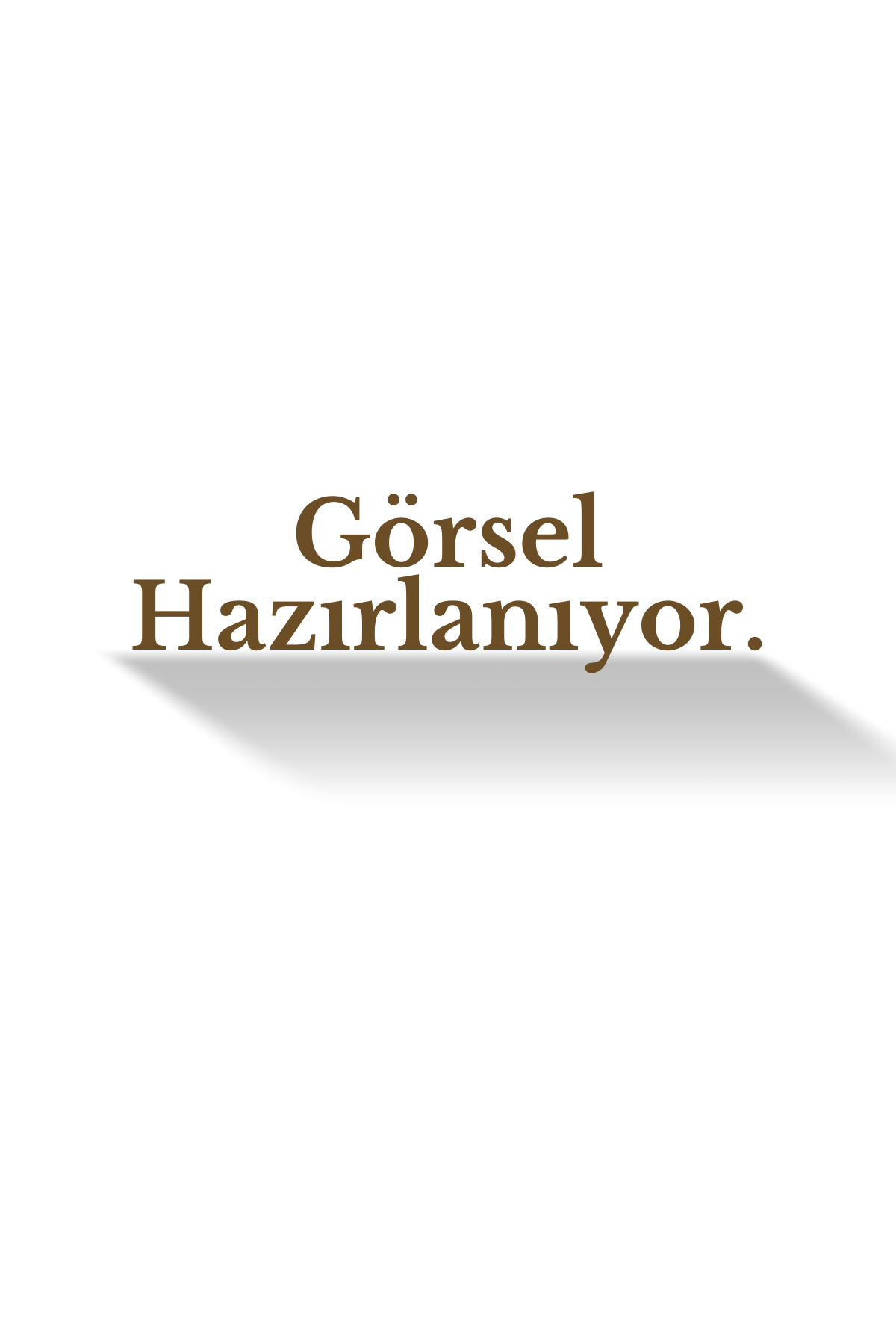Asır Bordo Halı Salon Oturma Odası Çocuk Odası Yatak Odası Halısı 0260